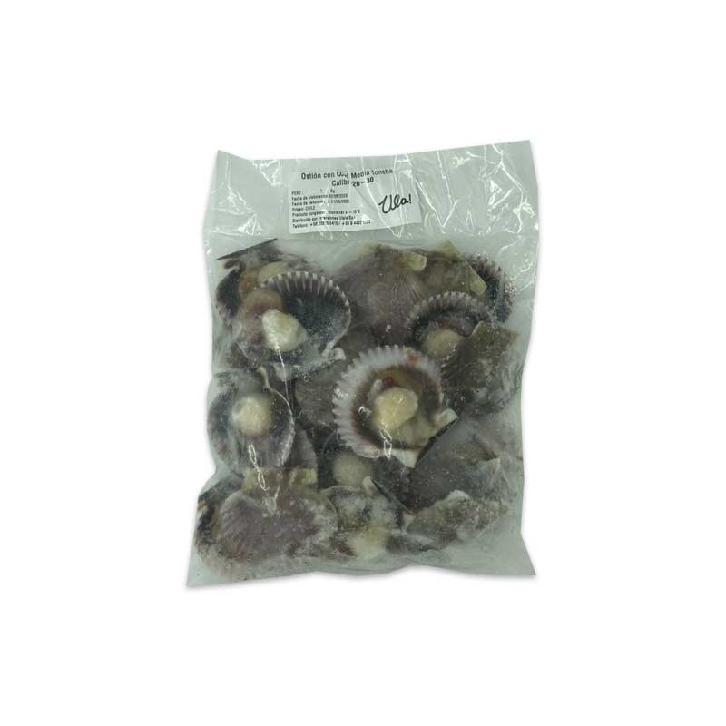 Ostiones con Coral y Concha 1 kg