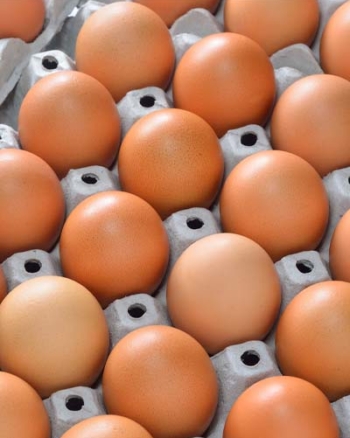 Huevos