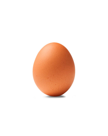 Gallina Libre