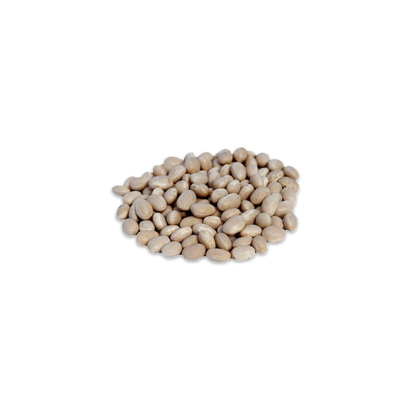 Porotos Burros del Año