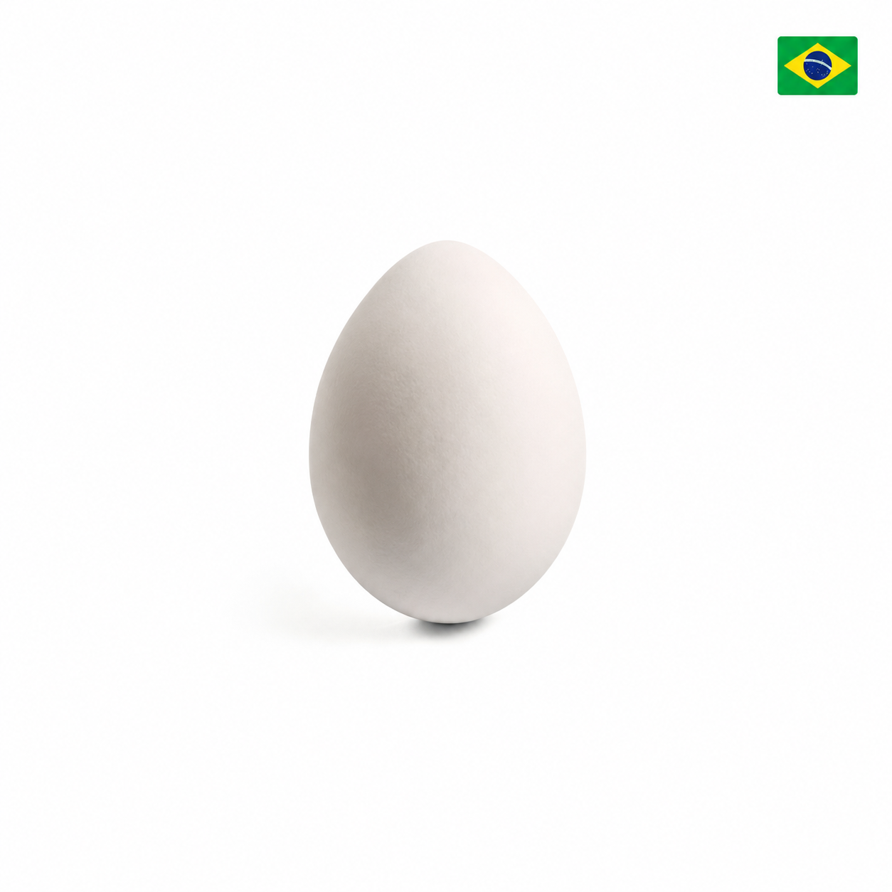 Huevo Extra Blanco XL de Brasil